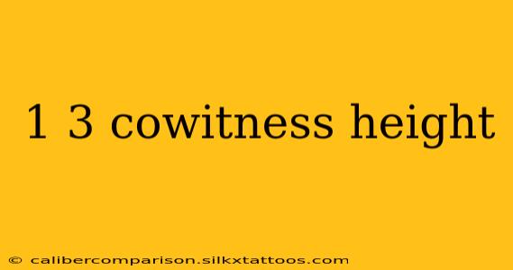 1 3 cowitness height