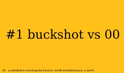 #1 buckshot vs 00