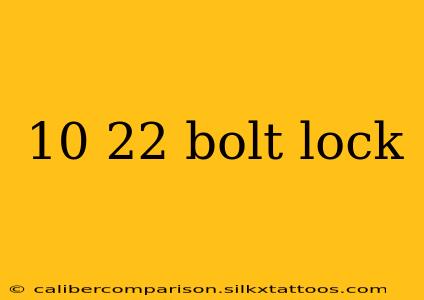 10 22 bolt lock