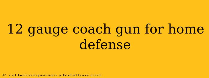 12 gauge coach gun for home defense