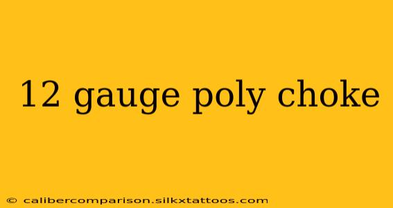 12 gauge poly choke