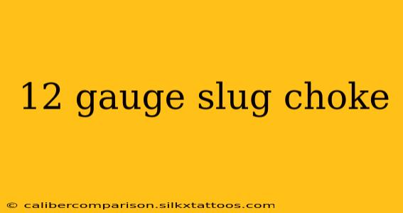 12 gauge slug choke