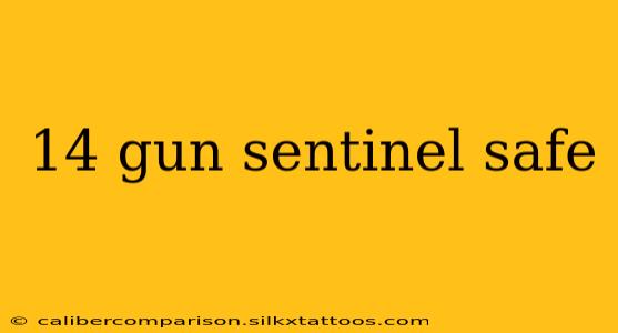 14 gun sentinel safe