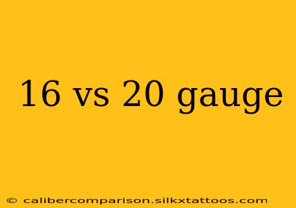 16 vs 20 gauge