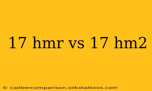 17 hmr vs 17 hm2