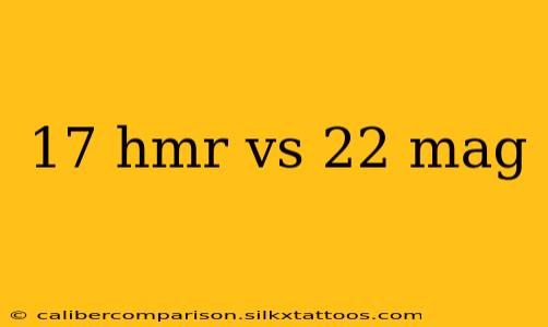 17 hmr vs 22 mag