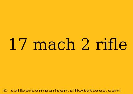 17 mach 2 rifle