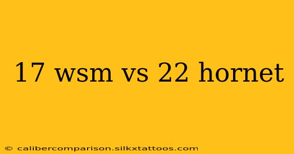 17 wsm vs 22 hornet