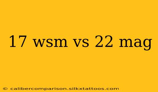 17 wsm vs 22 mag