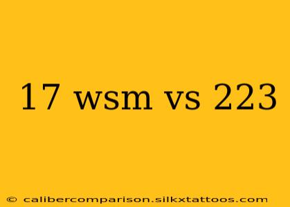 17 wsm vs 223