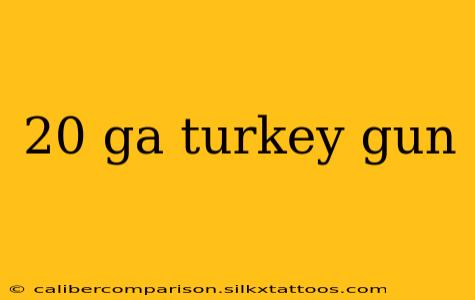 20 ga turkey gun