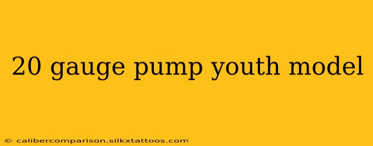 20 gauge pump youth model