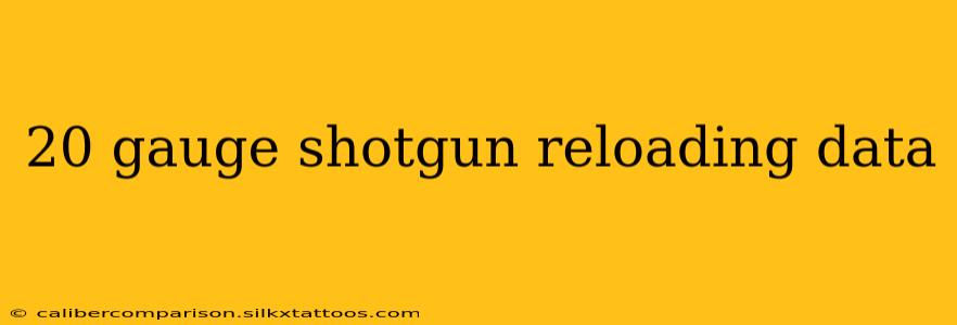 20 gauge shotgun reloading data