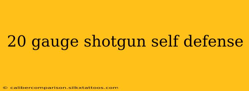 20 gauge shotgun self defense