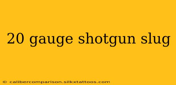 20 gauge shotgun slug