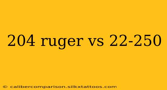 204 ruger vs 22-250