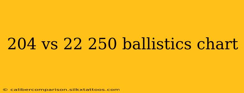 204 vs 22 250 ballistics chart