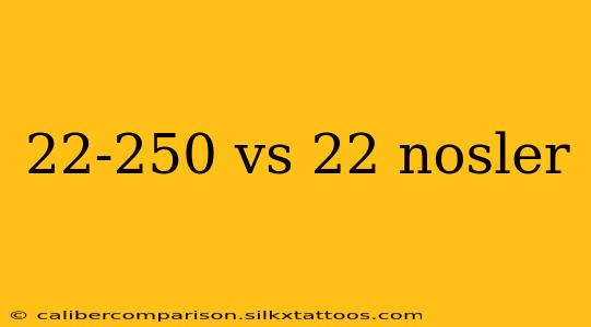 22-250 vs 22 nosler