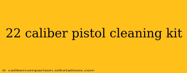 22 caliber pistol cleaning kit