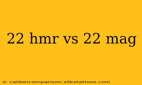 22 hmr vs 22 mag