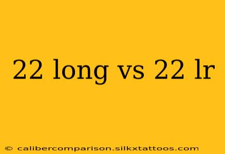 22 long vs 22 lr