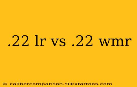 .22 lr vs .22 wmr