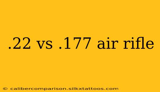 .22 vs .177 air rifle