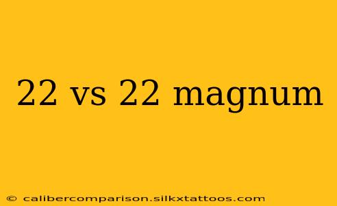 22 vs 22 magnum