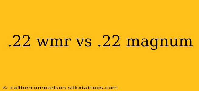 .22 wmr vs .22 magnum