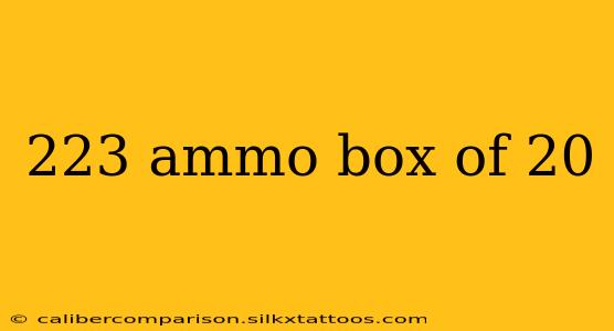 223 ammo box of 20