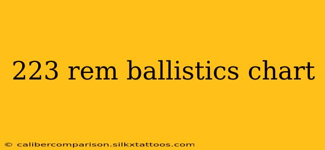 223 rem ballistics chart