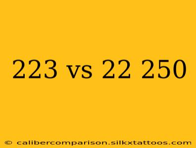 223 vs 22 250