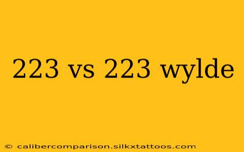 223 vs 223 wylde