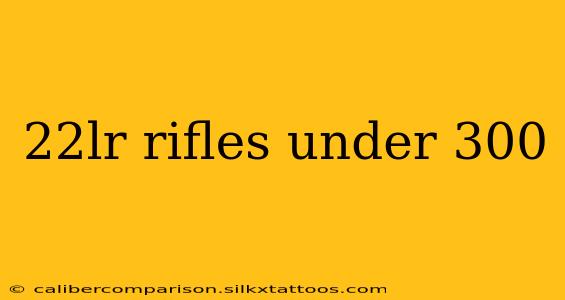 22lr rifles under 300