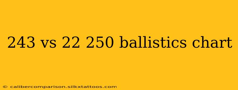 243 vs 22 250 ballistics chart