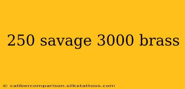 250 savage 3000 brass