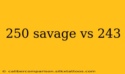 250 savage vs 243