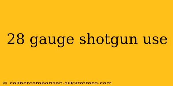 28 gauge shotgun use