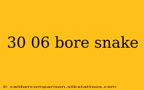 30 06 bore snake