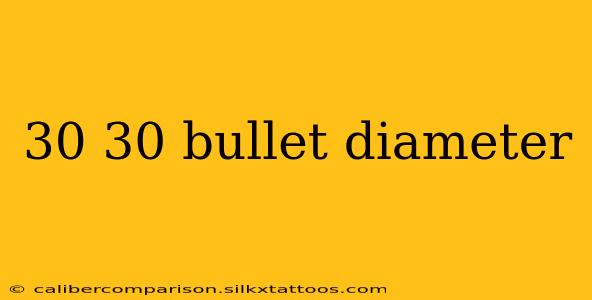 30 30 bullet diameter