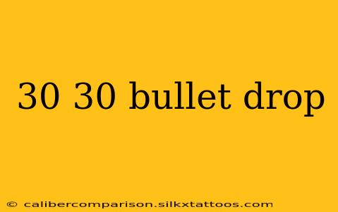 30 30 bullet drop