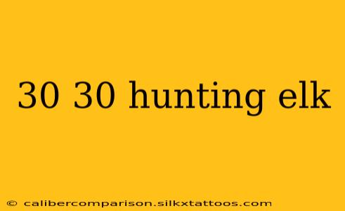 30 30 hunting elk