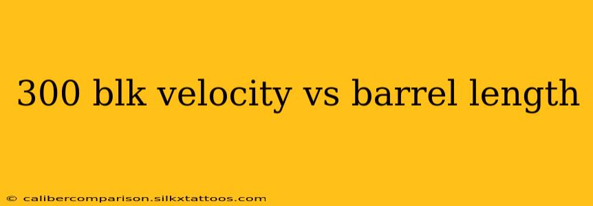 300 blk velocity vs barrel length