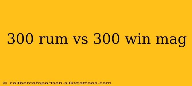 300 rum vs 300 win mag