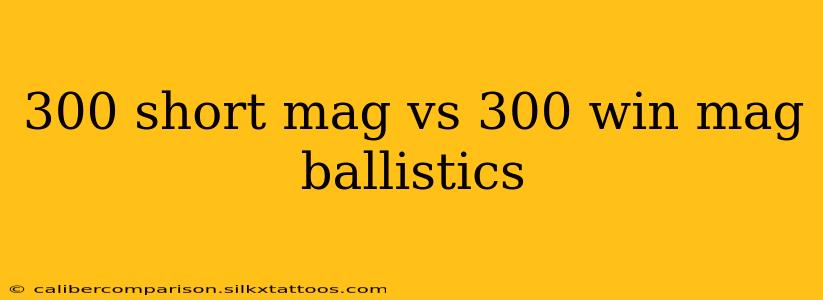 300 short mag vs 300 win mag ballistics