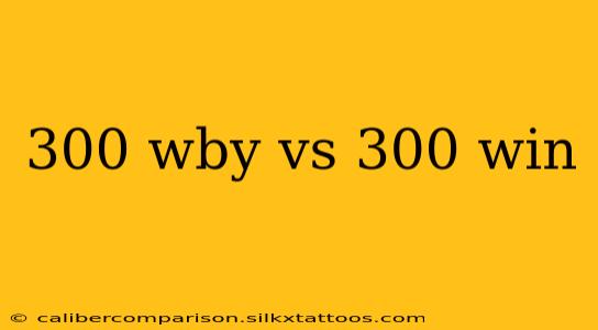 300 wby vs 300 win