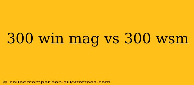 300 win mag vs 300 wsm