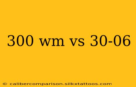 300 wm vs 30-06