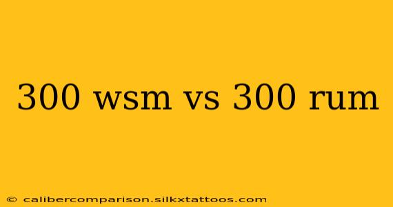 300 wsm vs 300 rum