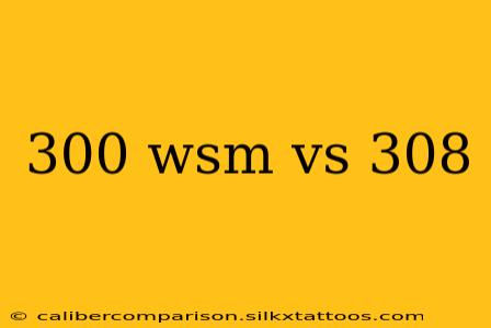 300 wsm vs 308